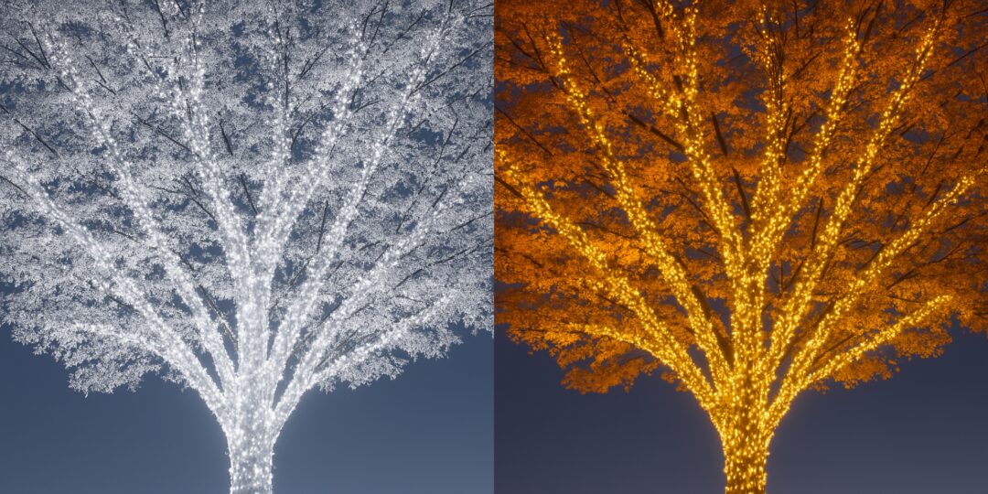 2COLOR SWICH STRINGS常点